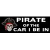 Pirate of The Car I Be in Magnet Large 3x9