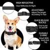 Maiiu Reflective Dog Collar with Safety Locking Buckle, Adjustable Soft