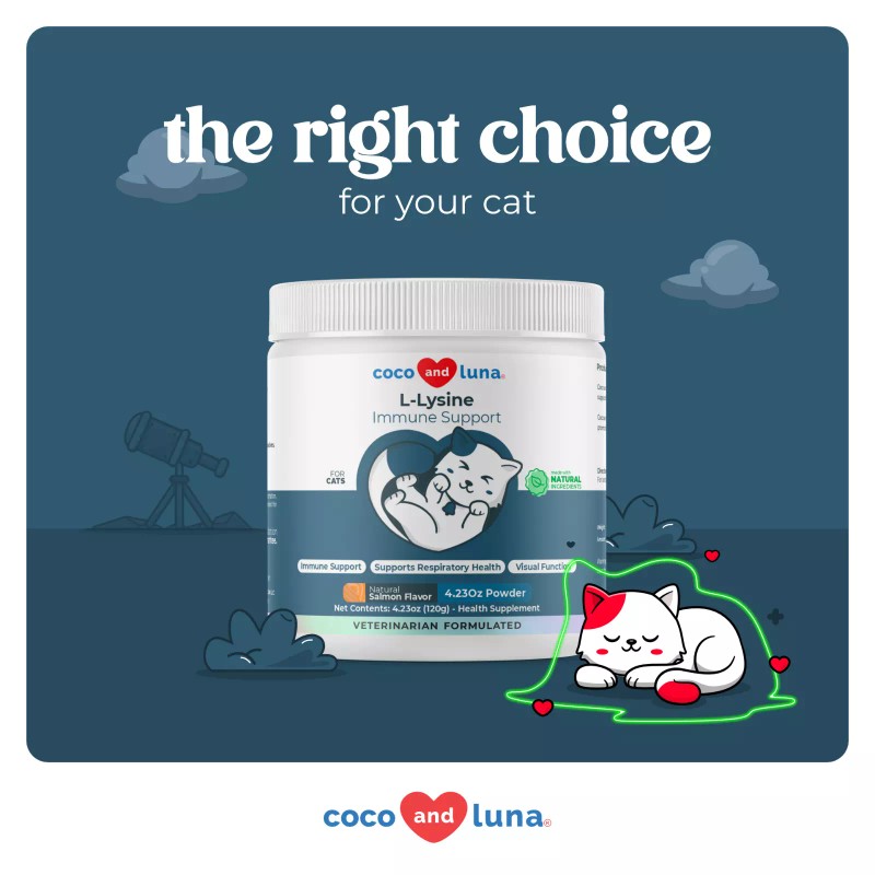 Coco and Luna L-Lysine Supplement for Cats for Sneezing and
