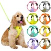 Dog Harness, Adjustable Mesh Vest, 8 Colors, Lightweight and Comfortable