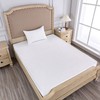 FARFALLAROSSA Double Bed Cotton Waterproof Mattress Protector 120 x 190/200