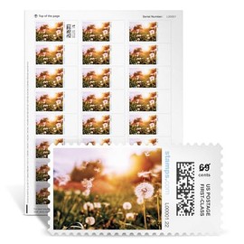 NetStamps Blank Mailing Labels - Dandelion Wishes | 120 Long-Lasting Labels on 5 Sheets | Perfect for Small Business, Home Office, & Personal Use | Works with Inkjet & Laser Printers