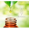 Herbolare - Aceite esencial de Menta Arvensis10 ml. Deliciosa frescura