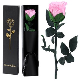 Eternal Infinity Rose Red with Stem, Gifts for Women, Eternal Rose in Gift Box, Preserved Flower for Mum Girlfriend, Birthday Gift, Anniversary Gift Woman (Pink)