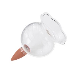 BioGreen Plant Self-Watering Globe HYDRO BLOOM | 1 Cup | Vacation Irrigation | Ideal for Indoor/Outdoor Use | Durable UV-Resistant Plastic Waterer