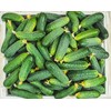 National Pickling Cucumber Seeds for Planting 200 Seeds Bulk Non-GMO