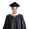 GRADWYSE Business Administration MBA Master Hood Graduation Master Degree Hood,