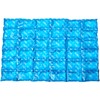 Thermos Reusable Ice Mat Food Saver, 36-Cube