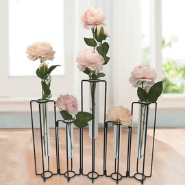 HelloHome Hinged Flower Vase, Black Metal Frame Vase with 5 Test Tubes, Propagation Station Plant Holder, Home Decor, Balcony