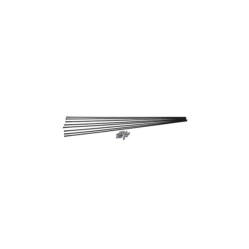 Dt Swiss Unisex - Adult H 1900 Spoke Kit, Black,