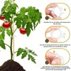 200 pcs Pinza de plástico para Plantas, Soporte de Plantas