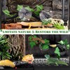 Quxddy 2Pcs Reptile Corner Branch, Reptile Climbing Decor Snake Climbing