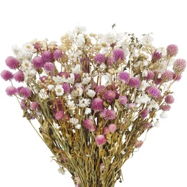 ACRYCS Artificial Flower Bouquet Pink Globe Amaranth Dried Flower Gypsophila Bundles Natural Dried Flowers Gerber Daisies Flowers Floral Arrangements for Wedding Table Centerpiece Boho Decor Farmhouse