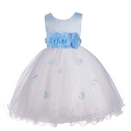Pink Promise Flower Petals Ruffled Tulle Wedding Party Girl Princess Dress, Light Blue, 10