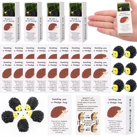 Youdaju 48 Set Positive Gifts for Coworker Emotional Support Mini Resin Hedgehog for Employee Staff Teacher Thank You Appreciation Gifts Bulk Positive Affirmation Box with Cheer Up Card Imitation Moss
