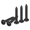 DTGN #12x1-1/2 Black Screws - 25Pack - 304 Stainless Steel
