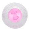 Pet Golden Hamsters Exercise Ball Toy Running Machine Transparent Jogging