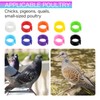 ElevateTech 200PCS 8mm Coturnix Quail Leg Bands Chicken Identification Band