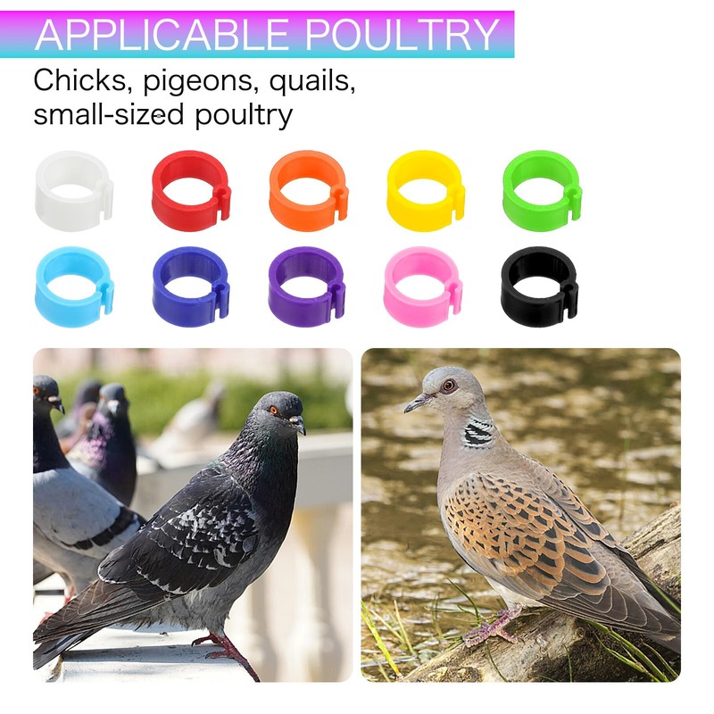 ElevateTech 200PCS 8mm Coturnix Quail Leg Bands Chicken Identification Band