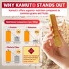 ILO Kamut Enzyme Complex – Digestive Health and Natural Metabolic