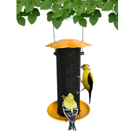 Songbird Essentials Gold Finch Feeder for Outdoor Hanging - Petite Nyjer Thistle Seed Feeder - All Metal - for Finches and Buntings for Outdoor Garden - Bright Yellow