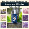 4oz All-Natural Bat Attractant Spray - Proven USA-Made Formula for