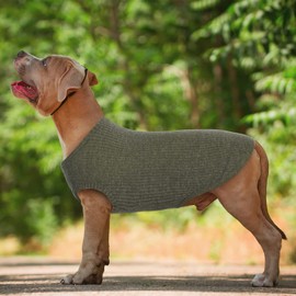 Hjumarayan Dog Jumper Small Dogs – Thin Dog Jumper Washable Dog Jumper, Elastic Jumper Dog Striped Dog Shirt Dog Sweaters for Chihuahua Yorkshire Terrier (Green XXS)