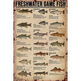 Fishing Jigsaw Puzzles 200 Piece for Adults - Freshwater Game Fish Type of Fish Knowledge Wooden Puzzle Fun Games Stress Relief Toys for Home Decor Living Room Decor