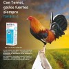 Tornel Top B15 + 3 30ml Vitamina Aves Bovino Equino