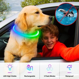 Light Up Dog Collars, Multi-Color USB Rechargeable Dlitk LED Dog Collar 1 Count, TPU Cuttable Size Glow Collar for Dogs, Dog Collar Light for Large Medium Small Dogs Walking at Night (Green+Blue)