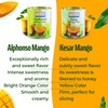 Ashoka Premium Mango Puree, Sweetened Kesar Mango Pulp, Great for