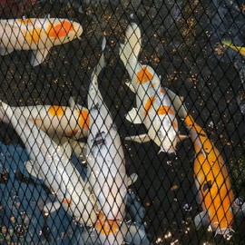 Bretoes Koi Pond Net, Black Heavy Woven Net, Garden Farm Net, to Protect Koi, Fruits and Vegetables from Animals Such as herons and Cats (4.5 m x 4.5 m, Black)