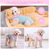 Dog Recovery Suit After Surgery, Surgery Recovery Jumpsuit for Female,