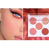 Mysense 5 Colors Face Blush Palette,Makeup Bright Shimmer Matte Powder
