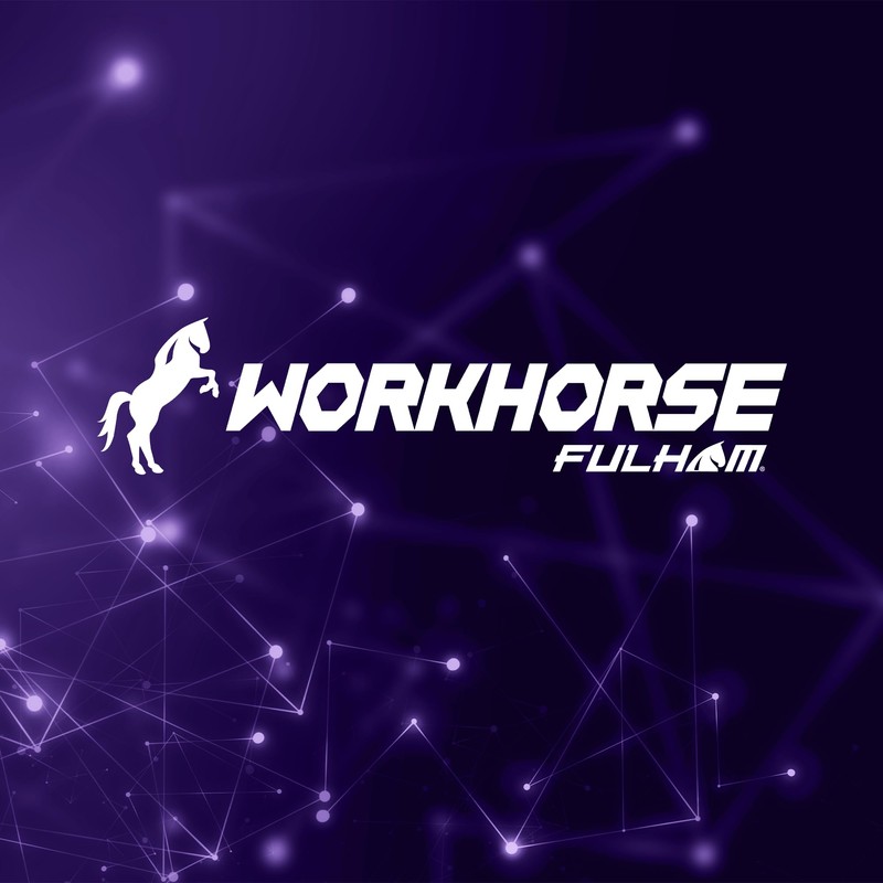 Fulham Lighting WH3-120-L Workhorse 3 Adaptable Electronic Fluorescent Lamp Ballast,