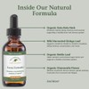 Native Remedies Focus Formula