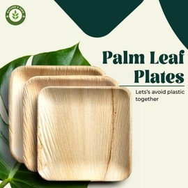 Palm Leaf Plates Like Bamboo Plates Pack - 100 Pc | Disposable Square Plate | Compostable, Eco-Friendly and Biodegradable for Wedding or Events or Party Plates (8 Inch mini Meal Plates)