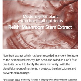 MIXSOON Reishi (Yeongzi) Esencia de hongos