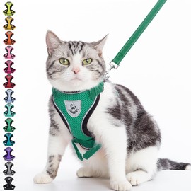 PUPTECK Cat Harness and Leash Set Escape Proof Reflective Cat Walking Harness Adjustable Soft Breathable Mesh Vest for Small Pets, Dark Green, S