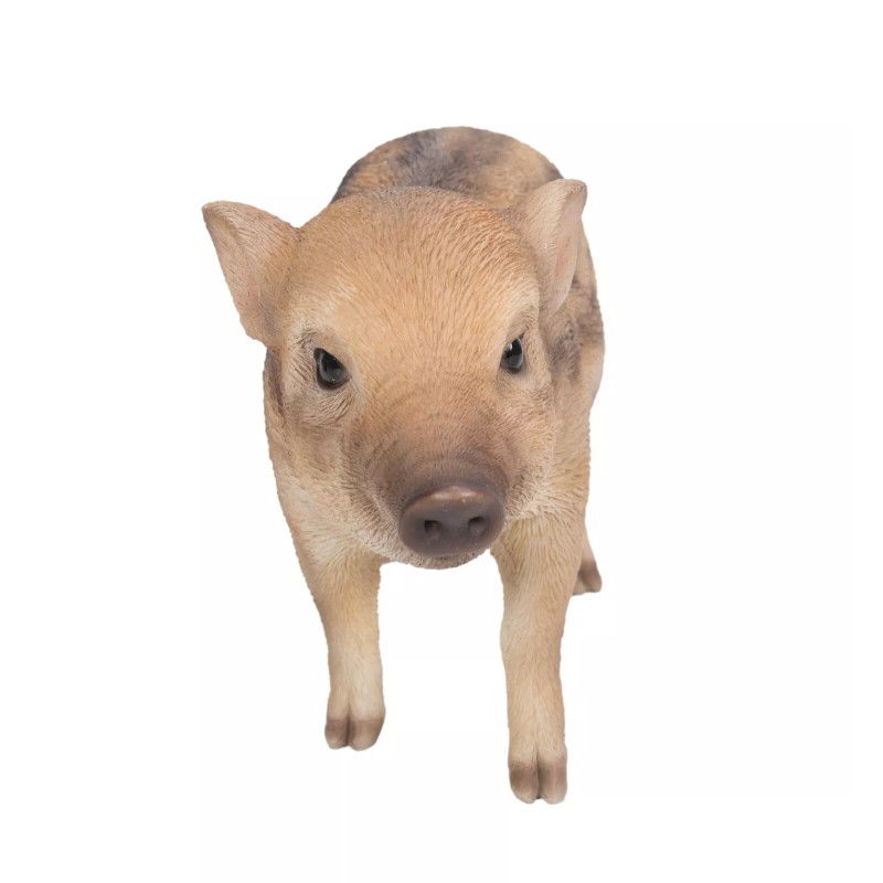 Hi-Line Gift Ltd. Clearance-Boar Wild Pig Figure Garden Statue Garden