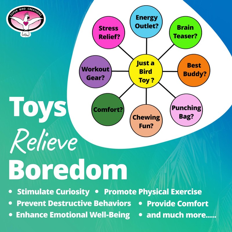 Super Bird Creations SB891 Balsa Bling Bird Toy, Small Bird