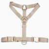 Nylon No Pull Dog Harness with Gold Metal Buckles,Easy Walking