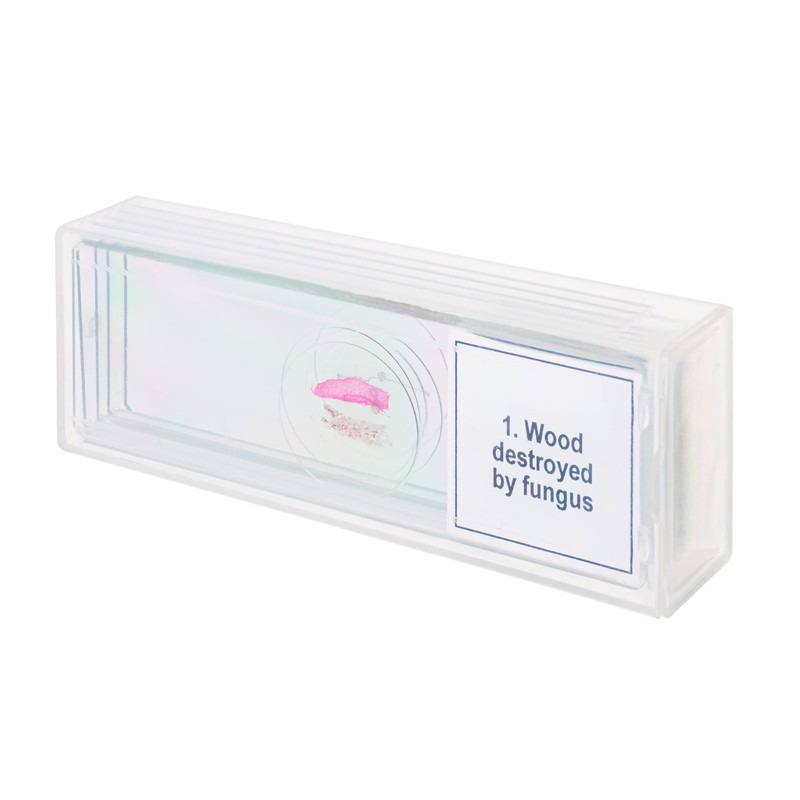 Discovery Prof Specimens DPS 5. “Mutations” – Prepared Educational Microscope