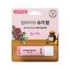 Aekyung Lipvibe Sugar Bomb Rosy Red 4.8g 3ea