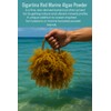 NutriCargo Gigartina Red Marine Algae Powder 500g – Seaweed Powder