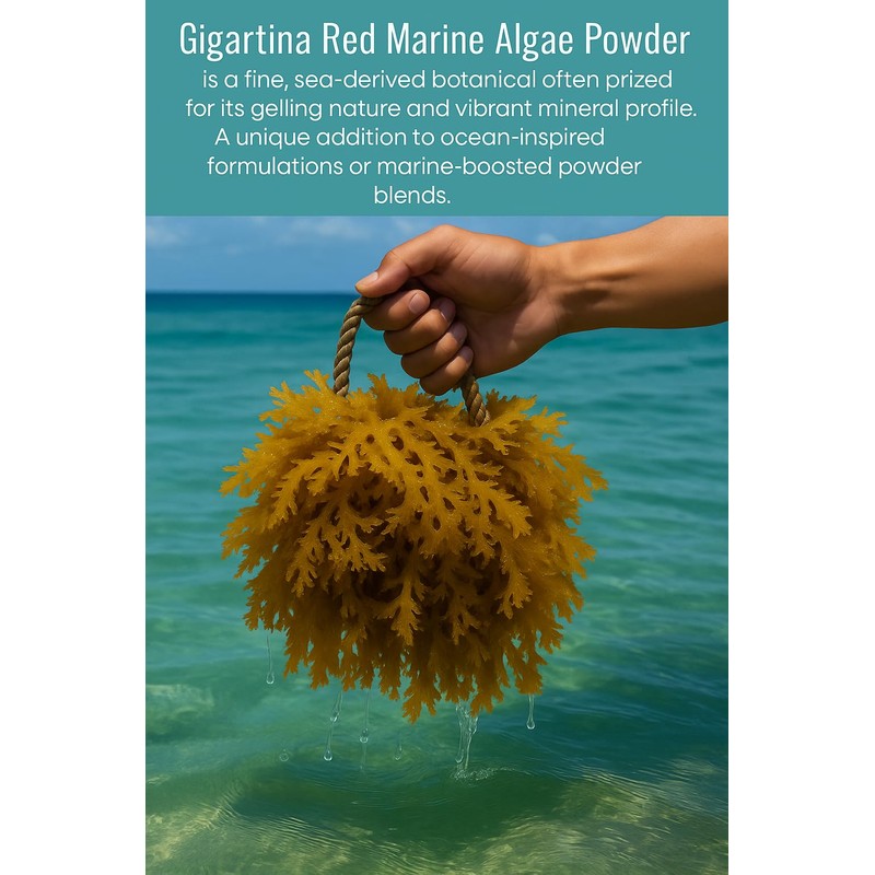 NutriCargo Gigartina Red Marine Algae Powder 500g – Seaweed Powder