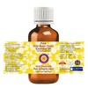 Deve Herbes Pure Holy Basil (Tulsi) Essential Oil (Ocimum Sanctum)