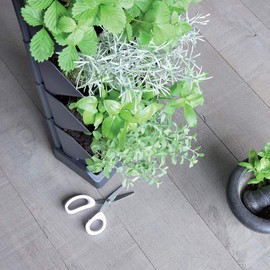 PROSPERPLAST Vertical Mini Cascade Plastic Planter in Anthracite 19.5 (L) x 11.4 (W) x 47.5 (H) cm with Garden Scissors