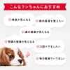 Yakult (ヤクルト) 公式 MediSuppli メディサプリ 犬用 ガラクトオリゴ糖 30包入り