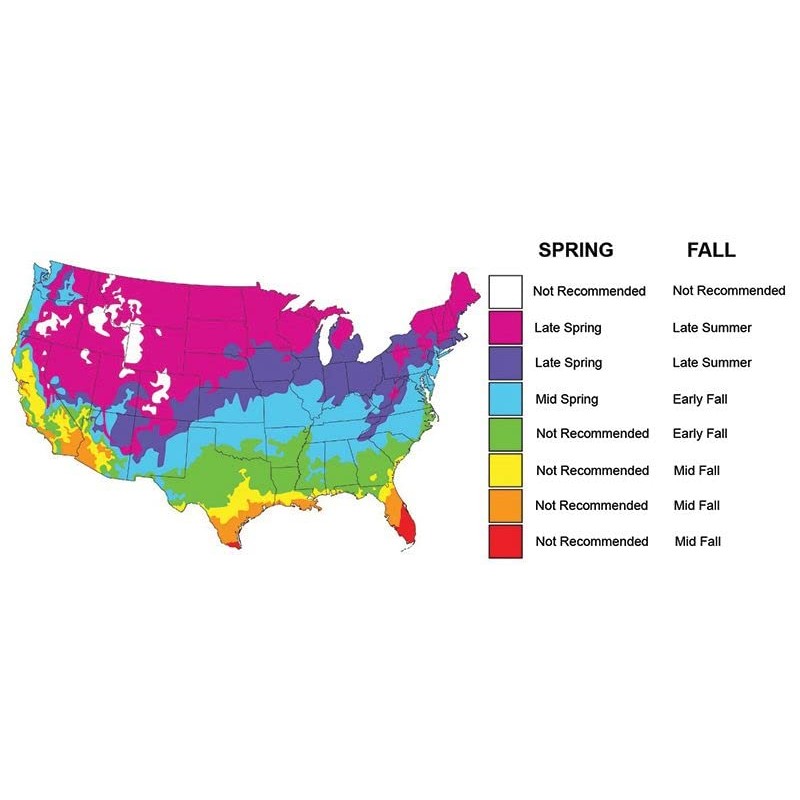 Crush Seeds of Science Food Plot Seed - Fixin’ Clover